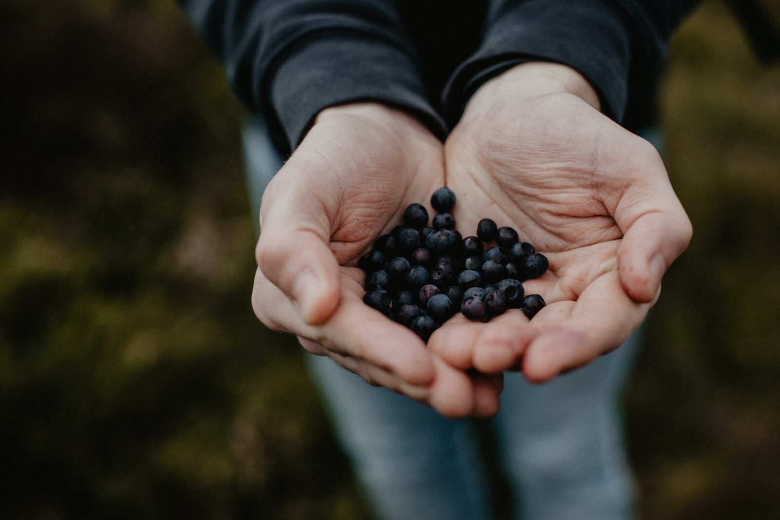 cupped-hand-with-berries-foraging